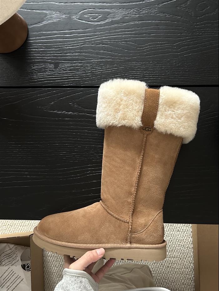 2025112816535136 350